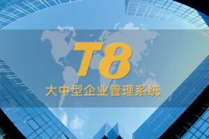 ERP大中型企业管理系统