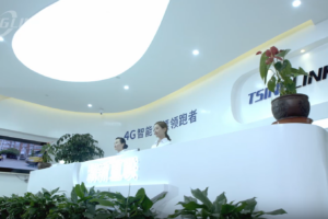 清新互联:数字化助力营运能力提升